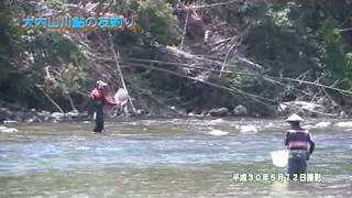 三重県大紀町　大内山川友釣り