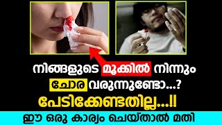 നിങ്ങളുടെ മൂക്കിൽനിന്നും ചോര വരുന്നുണ്ടോ.?പേടിക്കേണ്ടതില്ല ഈ കാര്യം ചെയ്താൽ മതി | Stop Nose Bleeding