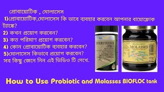 প্রোবায়োটিক,মোলাসেস ব্যবহার করার পদ্ধতি বায়োফ্লোক ট্যাঙ্কে, use probiotic,and molasses biofloc.