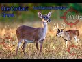 sound only doe contact grunt play while hunting all season