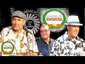 el desguañangue grupo bonyé santodomingoestedigital.com