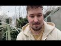 my budget polytunnel build part 2 outsunny arran s veg patch diary 17