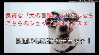 犬 首輪 おすすめ 革