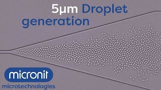 5µm droplet generator | Micronit