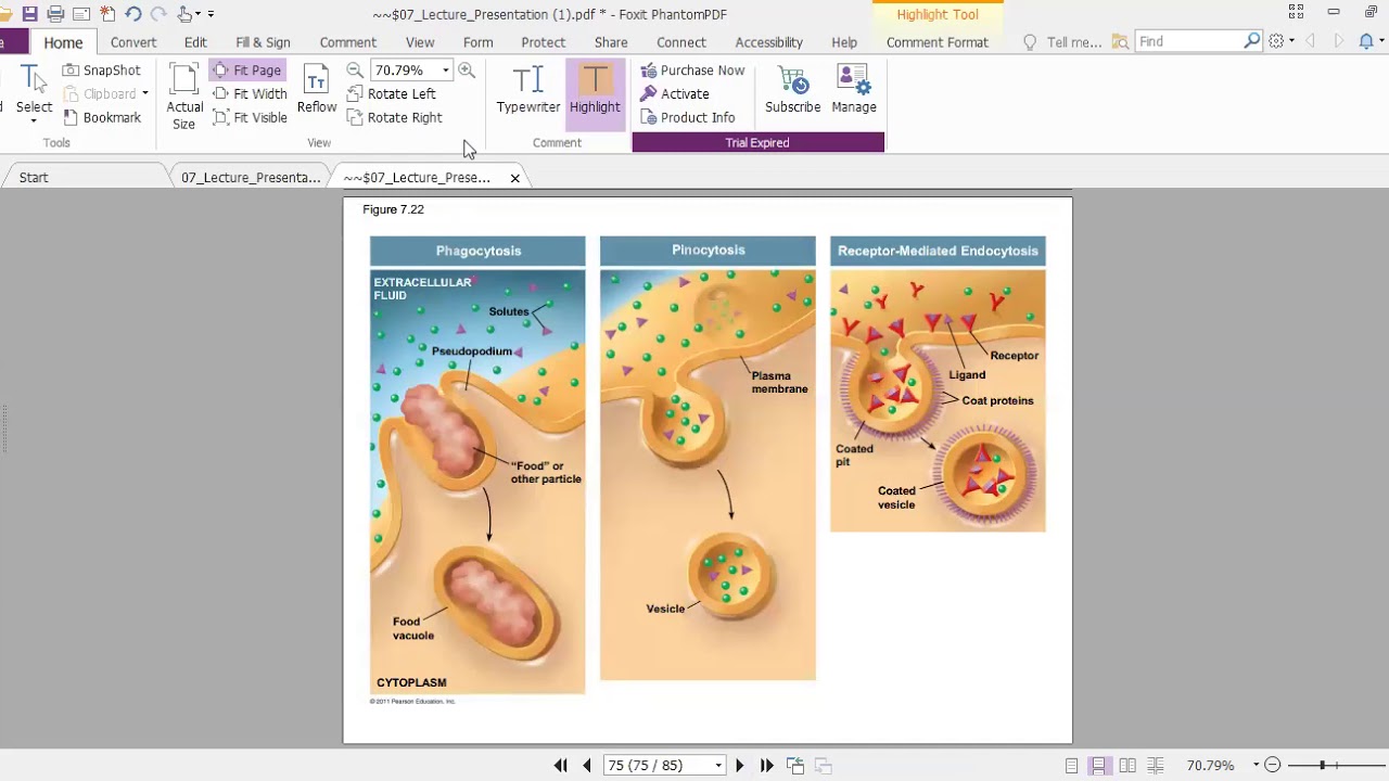 Ch 7 Lecture 3 Youtube