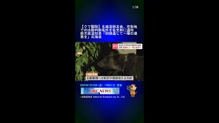 【クマ駆除】北海道猟友会、市街地での出動判断条件を各支部に通知　鈴木直道知事「訓練通じて一層の連携を」北海道 #Shorts