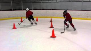 sparta chaos puck handling