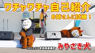 【みやざき犬】ワチャワチャ自己紹介：お姉さんに試練が！ (201903宮崎県都農町)