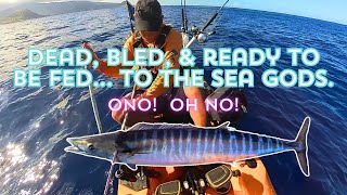 Dead, Bled, Ready to be Fed... To the Sea Gods | Ono! Oh No! 2 | Kayak Fishing Hawaii