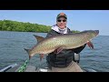 muskie fishing mille lacs three fish day