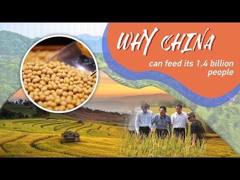 Is China able to feed itself?