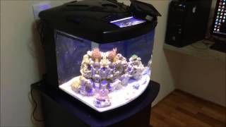 Meu Nano Reef (aquÁrio Marinho) Tl-450