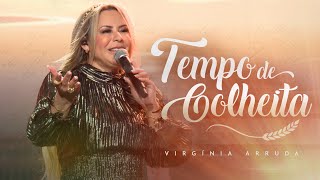 Tempo de Colheita | Virgínia Arruda