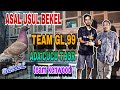 TERNYATA SILANGAN BEKEL TEAM GL 99 ADA TRAH JUPITER DAN KANCIL