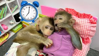 Nanny Bim Bim helps dad take care of baby monkey Obi