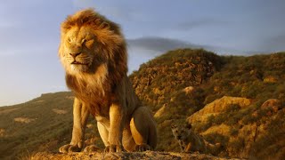 The Lion King Trailer 1&2 (Watch now) #Beyoncé #DonaldGlover