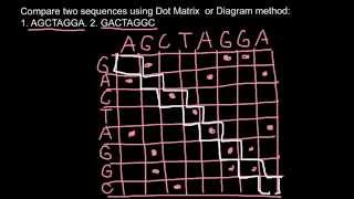 Bioinformatics: Dot Matrix or Diagram method explaned #1