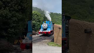 Tweetsie railroad 12 #train #steamtrains #viral #fypシ #steam #viral #youtube #youtubeshorts #railfan