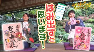 《12月6日（日）放送》モネの名画「睡蓮」を目指してほな行こCar!【ほな行こCar！～寄りみちドライブ～】