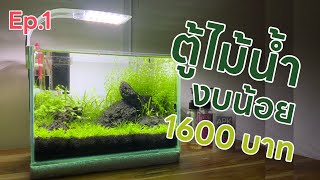 จัดตู้ไม้น้ำง่ายๆในงบ 1600 บาท | HOBBYFISH