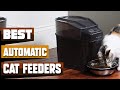 Best Automatic Cat Feeders In 2024 - Top 10 Automatic Cat Feeders Review