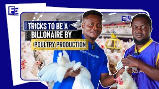 How A Ghanaian Man Built A Multimillion Dollar Poultry Farm In Dormaa