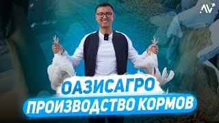 БИЗНЕС НА ПРОИЗВОДСТВЕ КОРМОВ для С/Х: Обзор производства