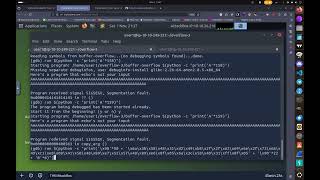 Buffer Overflows TryHackMe WalkThrough