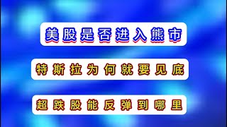 会员视频/美股是否进入熊市/特斯拉为何快见底/超跌股能反弹到哪里/PLTR HOOD TEM/避险股现在买不买