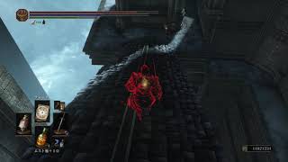 ダークソウル3 サリ裏侵入　犬に頼る奴が勝てるほどサリ裏は甘くない　DARK SOULS III