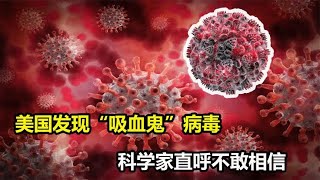 科学家都不敢相信，美国竟发现“吸血鬼”病毒，对人类有何影响？