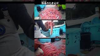 薩摩川内市ふるさと納税PRショート動画 甑島編 #Shorts