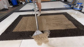 Washing a VERY dirty rug with very satisfying scrubbing and squeegee 😍