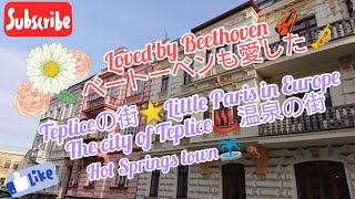 【ヨーロッパ田舎暮らし/日常Vlog】私の住んでる街の紹介♨️☺️ Introducing my living town in Czech⛲Japanese/English subtitle