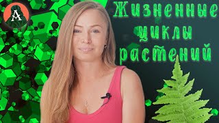 ЖИЗНЕННЫЕ ЦИКЛЫ ВЫСШИХ РАСТЕНИЙ || БОТАНИКА