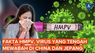 Fakta Seputar HMPV, Virus yang Tengah Mewabah di China dan Jepang