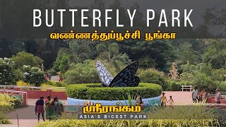 வண்ணத்துப்பூச்சி பூங்கா Butterfly Park | Srirangam