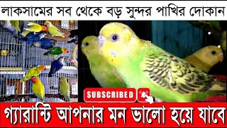 লাকসামের সব থেকে বড় সুন্দর পাখির দোকান।অত্যাশ্চর্য সুন্দর পাখি 😍 | Beautiful Bird In The World |||