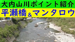 【大内山川ポイント紹介】平瀬橋とマンタロウ【2021年版】