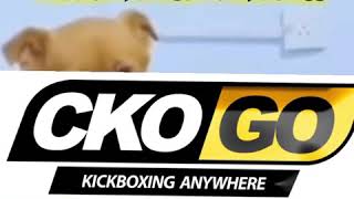 CKO Virtual Kickboxing