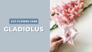 Gladiolus Flower Arrangement Ideas 🙊 ⚒️  🌸  Professional Floral Design Tips + Techniques