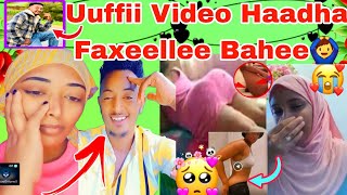 Haatii Faxee Mucaa Video Mucatii Qullaa Gadii Basee Icciitiin Biraallee Batee Salphiinaa