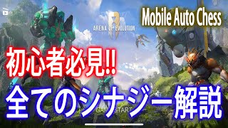 【無限進化オートチェス】全てのシナジー解説！！これが無限進化のすべて！！【Arena of Evolution】