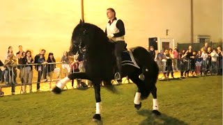 Cavallo Frisone di alta scuola che balla