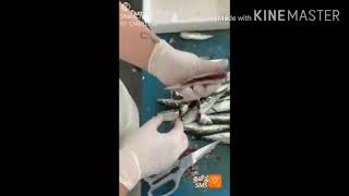 remove fish bones easily.  மீன் முள்  பிரித்தெடுத்தல்