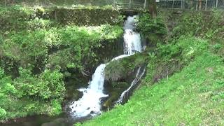 箱島湧水で湧水汲み