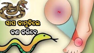 ଏହା ଯଦି ହୁଏ ତୁରନ୍ତ ଏହା କରନ୍ତୁ