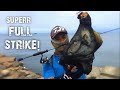 FULL STRIKE ! Ratusan Baby GT Kepinggir I Ultralight Fishing Bali