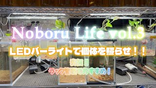 【Noboru Life vol.3】LEDバーライトで個体を照らせ！ラック管理でおすすめ！！