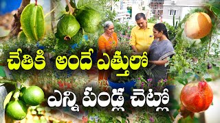 ఇంటిపై పండ్ల వనం || నిమ్మ నుంచి జామ వరకు.. || Fruit Plants in Terrace Garden || Lakshmi Kameswari